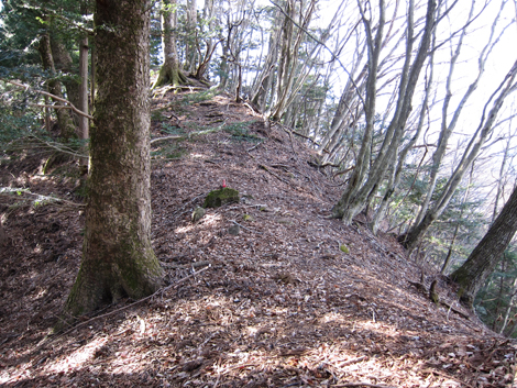 20200204hike (291)